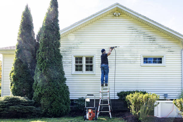 Animal Enclosure Cleaning in Lockney, TX